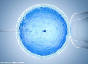张暖春主任